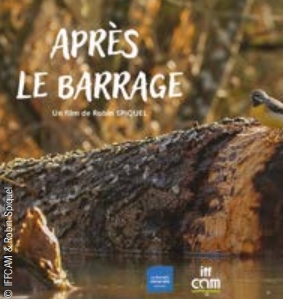Projection débat - Après le barrage