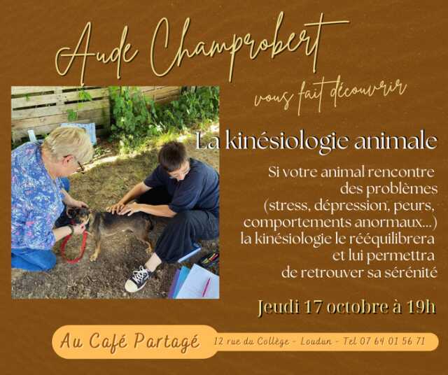 La kinésiologie animale par Aude Champrobert