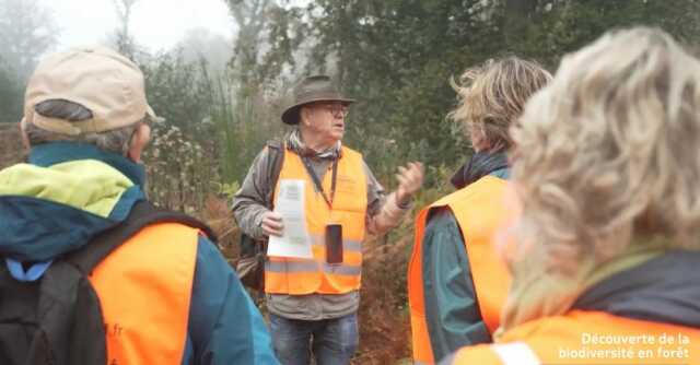 Balade-conférence en forêt