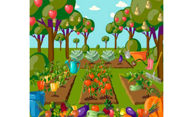 Jardin botanique littoral : Bilan du potager d’été et préparation du potager pour l’hiver