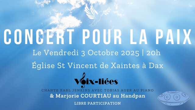 Concert pour la paix