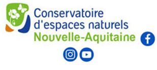 Entretien d'une mare, chantier de bénévole