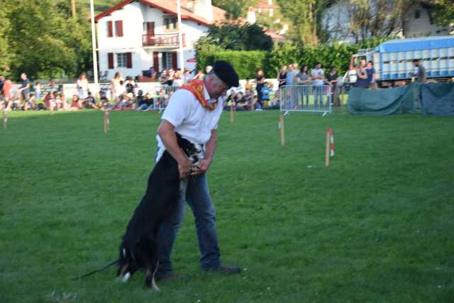 Pyrénées Atlantiques Fête Manifestation Culturelle
