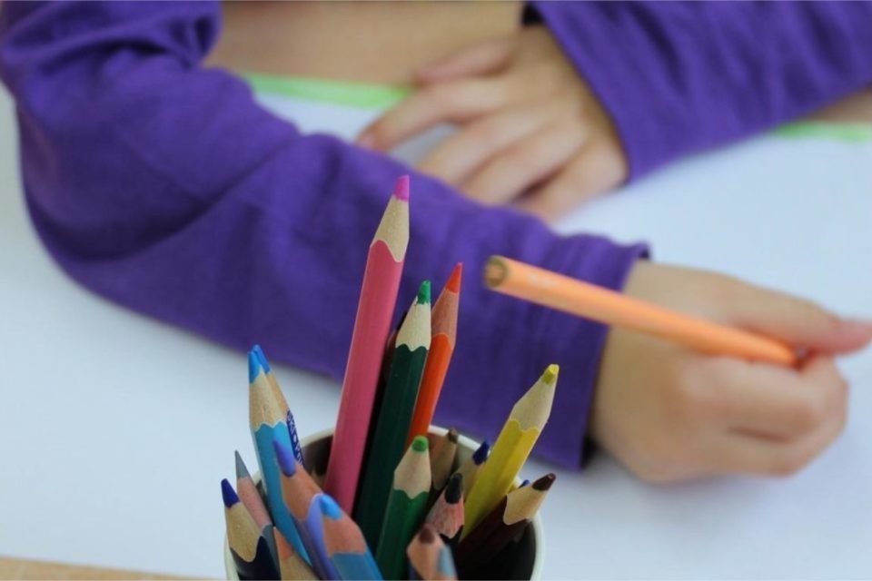 Concours de dessin dans l'esprit naturaliste
