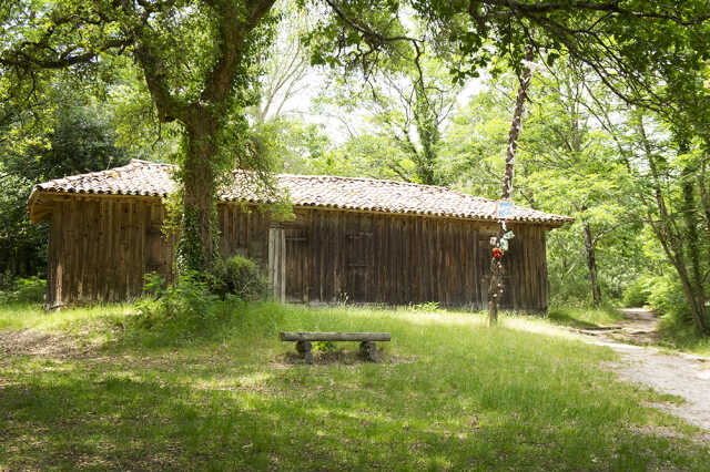 Portes ouvertes à la cabane de la Nasse