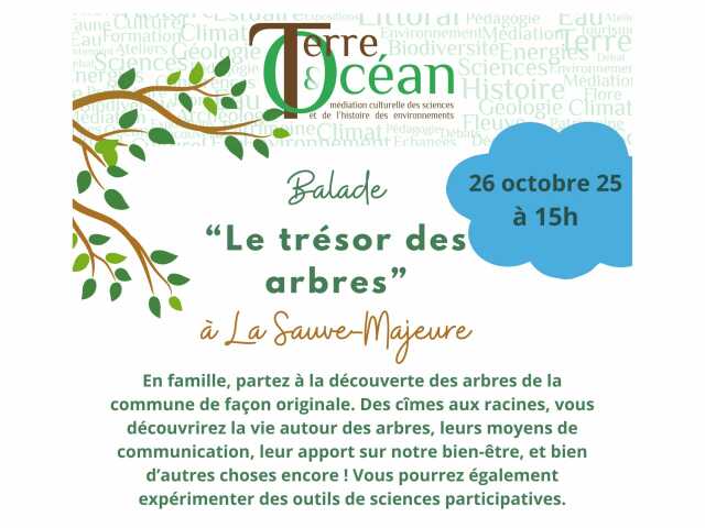 Balade « Le trésor des arbres » à La Sauve