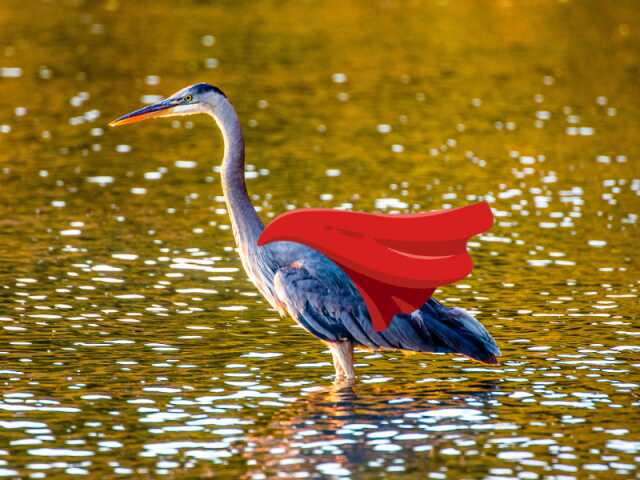 Sortie Natura 2000 