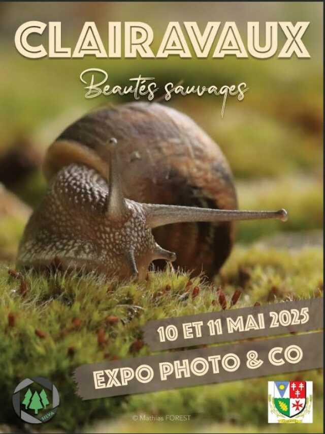 Expo photo & co 