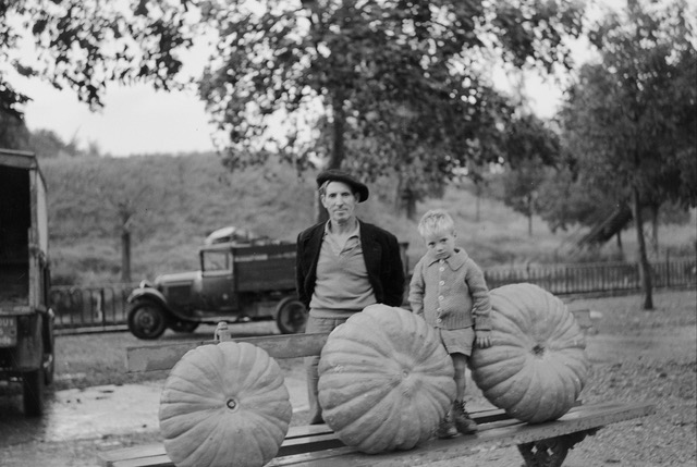 Exposition de photos de Jean Bernaleau à Blaye