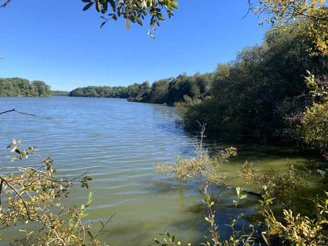 Les 50 ans de la Réserve Naturelle de l'Etang Noir