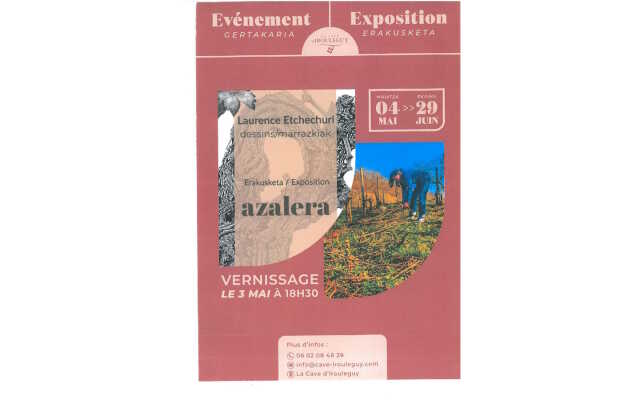 Exposition Azalera : dessins de Laurence Etchechuri