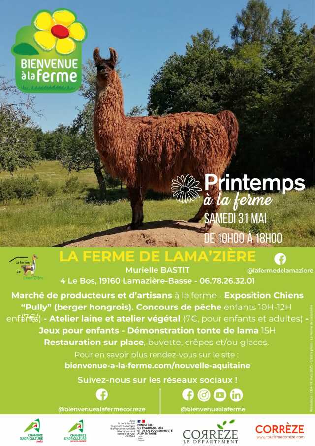 Ferme de lama'zière - Printemps à la ferme - BAF