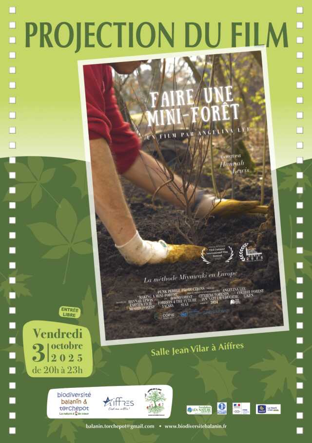 Projection du film 