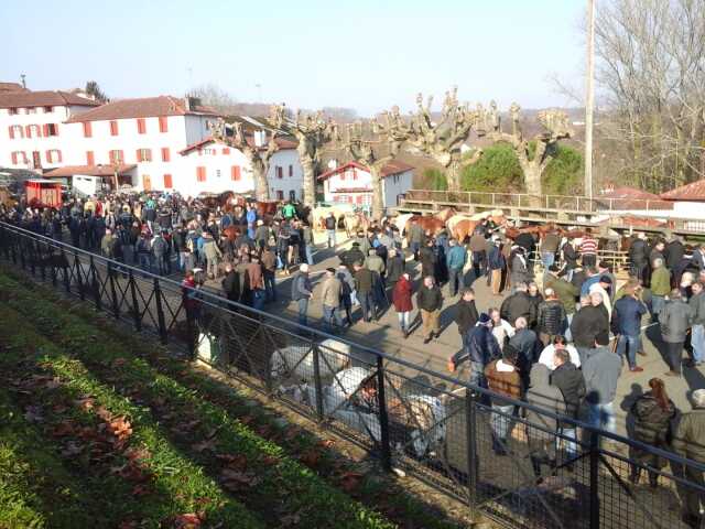 Foire aux Pottok