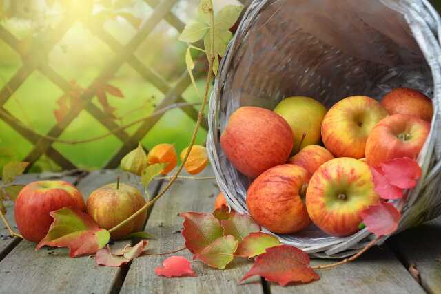 Fêtes de l’automne