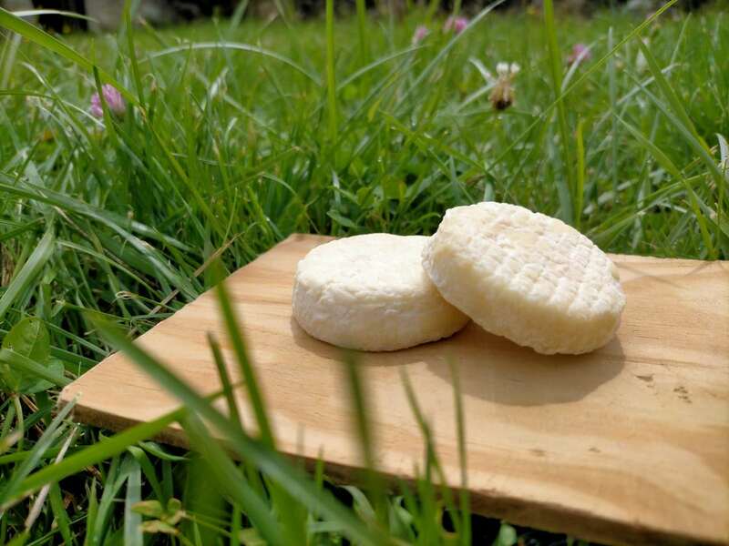 Atelier Petit Fromager