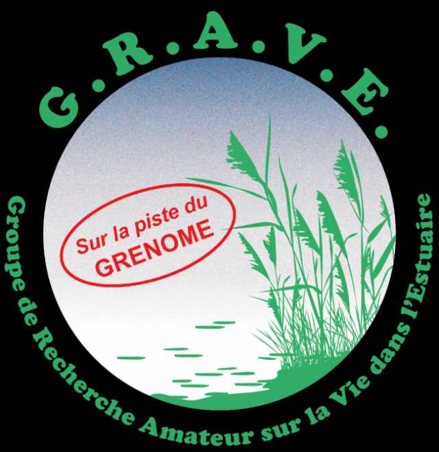 Animation au bureau du G.R.A.V.E (Visite libre)