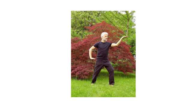 Atelier d'initiation au Qi-Gong - 29 novembre 2025 - Ligueux 24