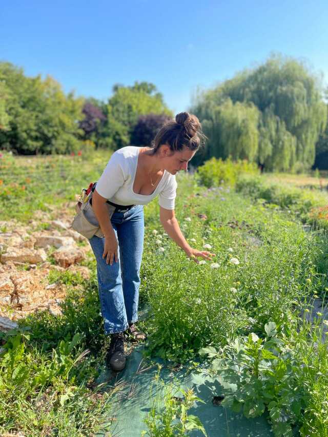 Les Journées de la Fleur Française