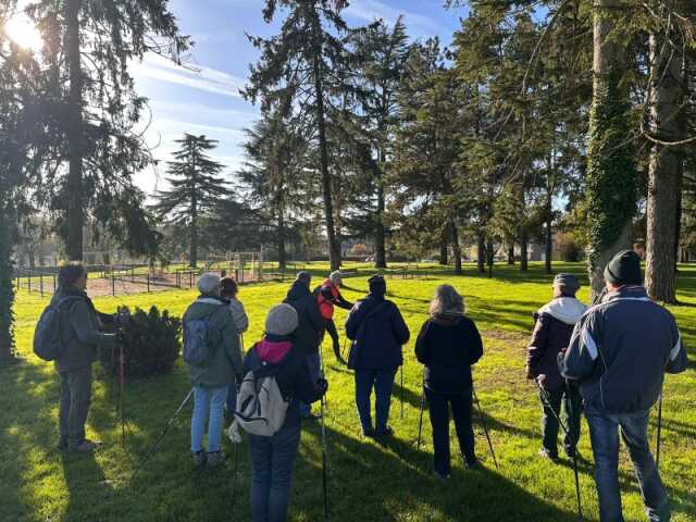 Animation marche avec bâtons
