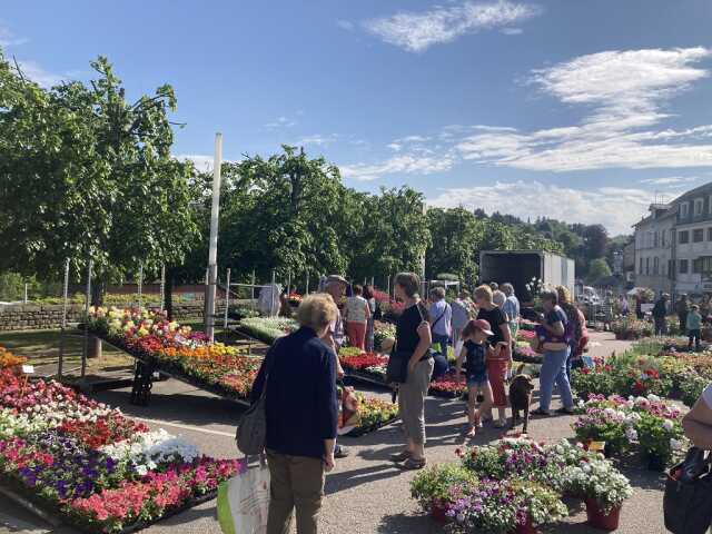 Marché aux fleurs et au jardinage