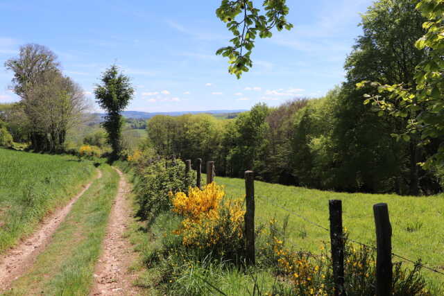 Séjour de randonnée pédestre (Monts et Panoramas)