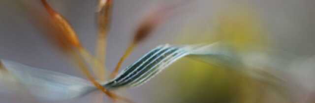 Exposition Aluna, photographies d'Isabelle Boucry  à l'Escalier