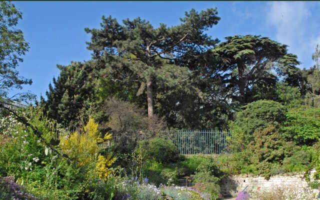 Jardin botanique littoral : Création d’un jardin-forêt