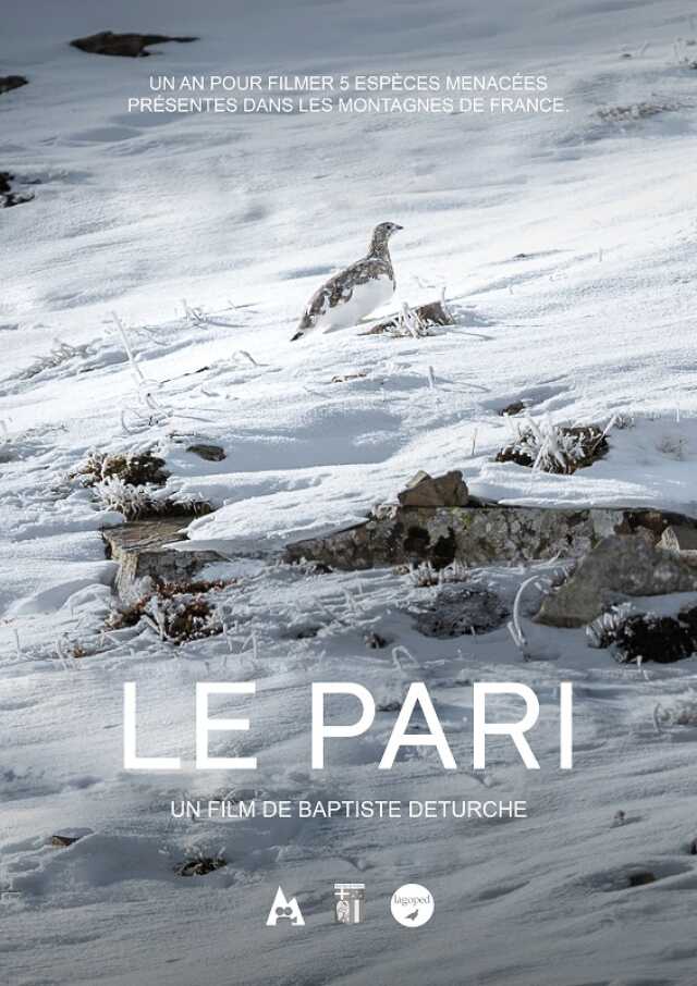 Ciné-Débat : Le Pari