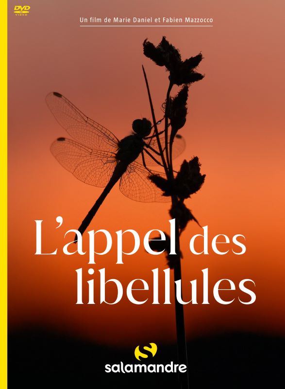 Ciné-discussion : L'Appel des Libellules