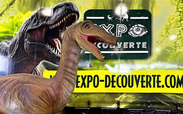 Expo découverte : Le temps des dinosaures