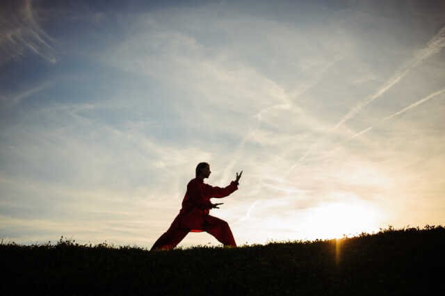 Tai Shi Shuan