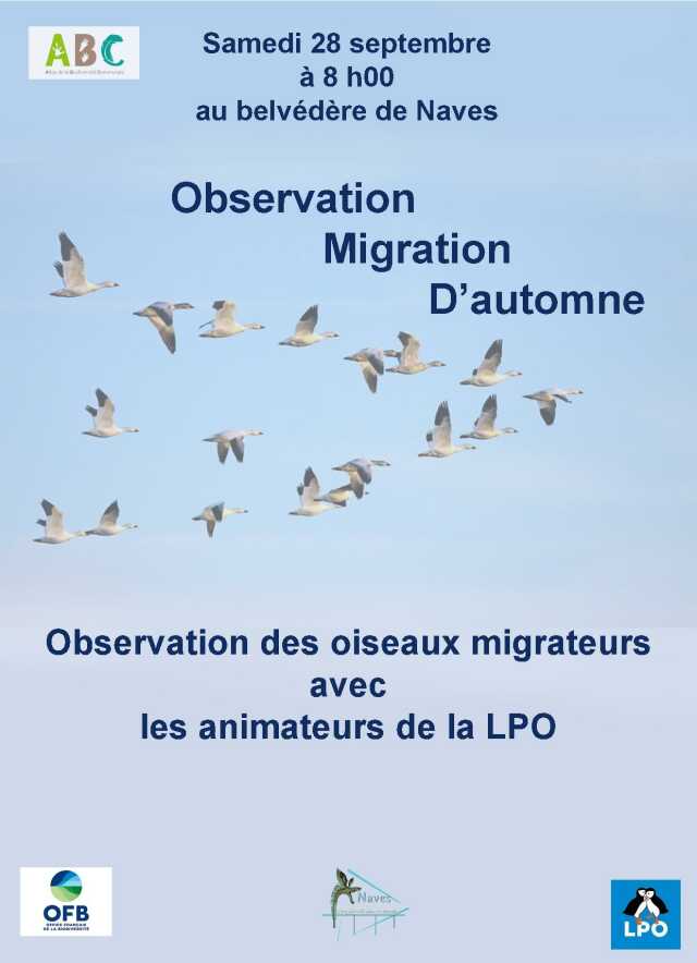 Observation des oiseaux migrateurs