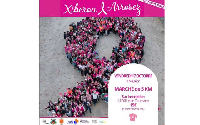 Octobre rose : marche au profit de la lutte contre le cancer du sein