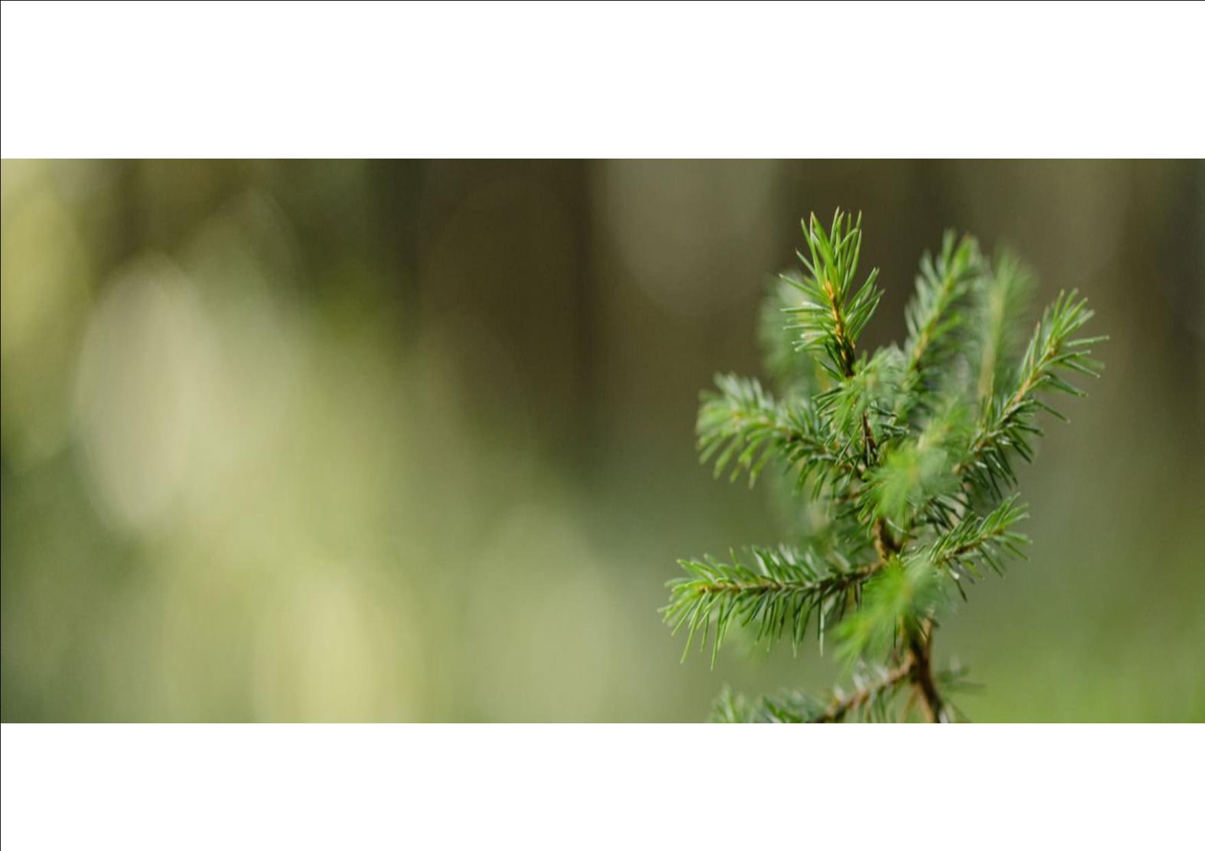 Rencontre avec les acteurs de notre forêt