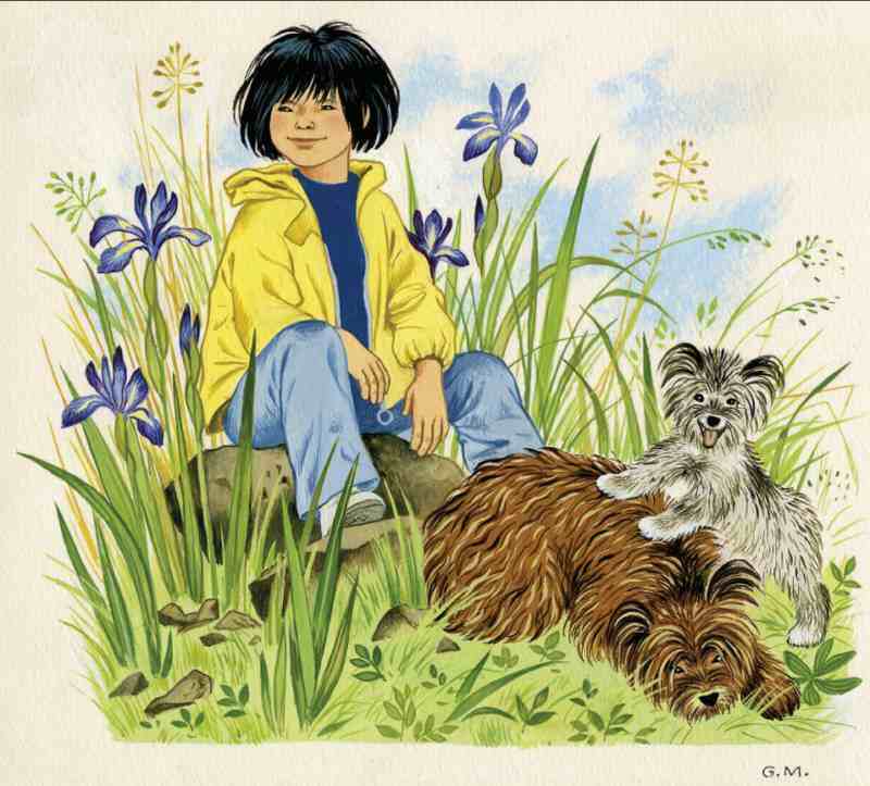 Exposition : Patiou, chien de berger