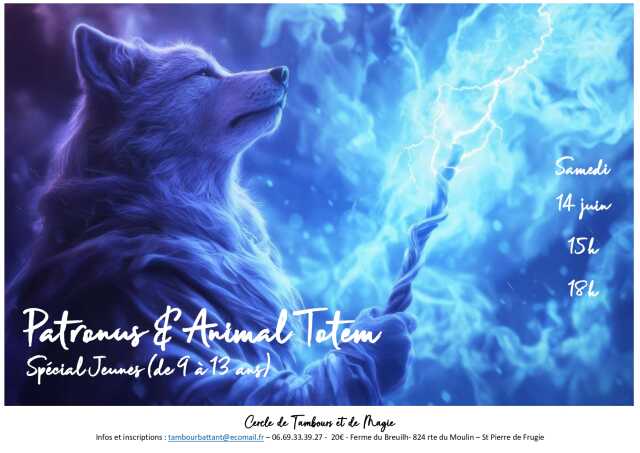 Spécial Jeunes - Patronus et Animal Totem