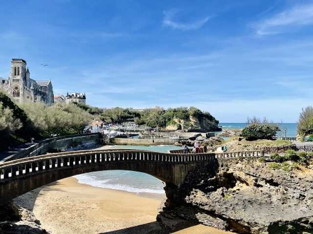 Atelier : Rencontre avec les oiseaux du littoral et marins