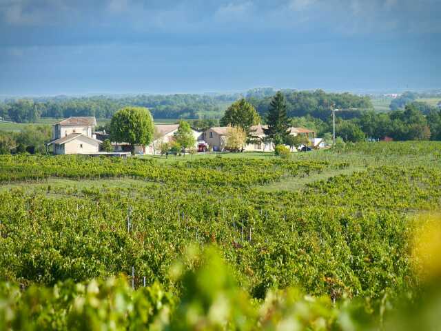 Ici, nos savoir-faire - visite du Château Pourquey Gazeau