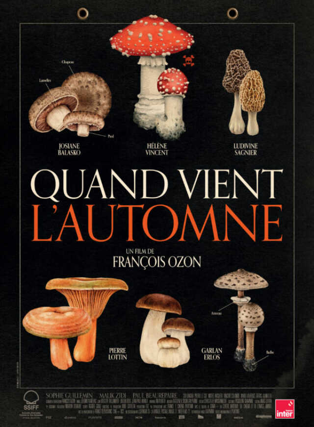 Cinéma : Quand vient l'Automne