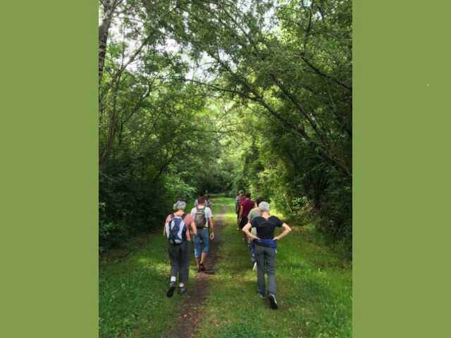 Marche-relais sur un tronçon du chemin de Compostelle