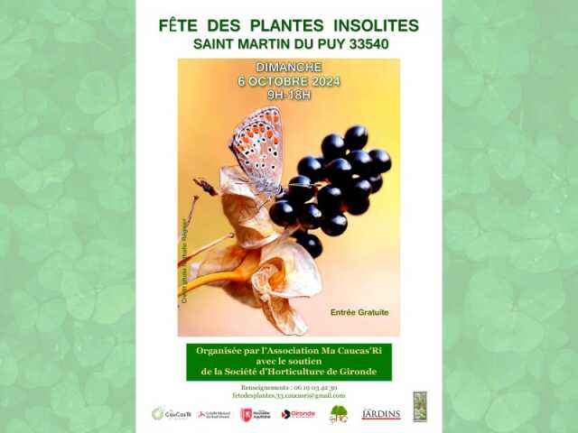 Foire des Plantes Insolites