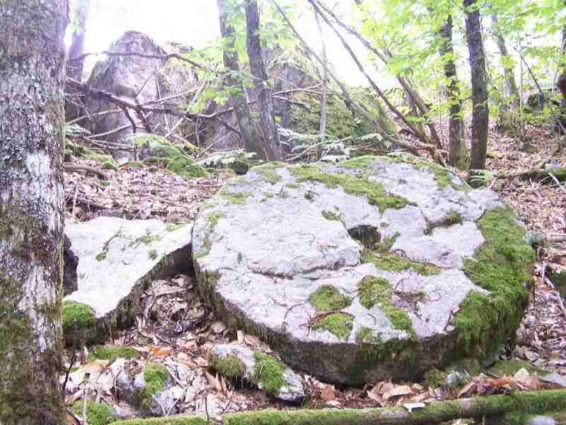 Visite commentée du sentier des meulières