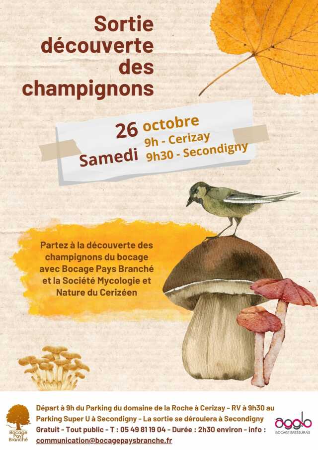 Sortie champignons