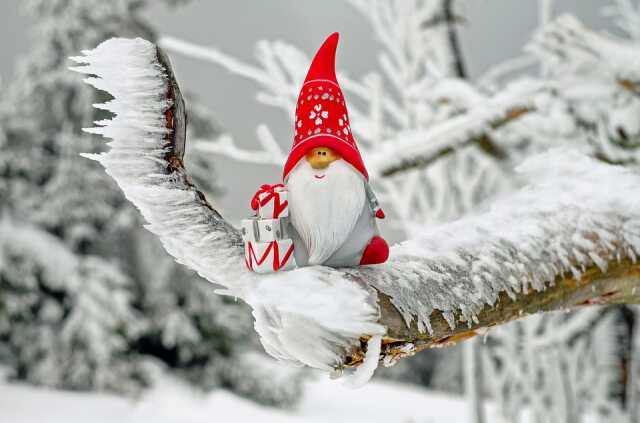 Buvette de Noël ! organisée par L'AEPS