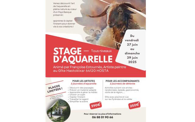 Stage d'aquarelle