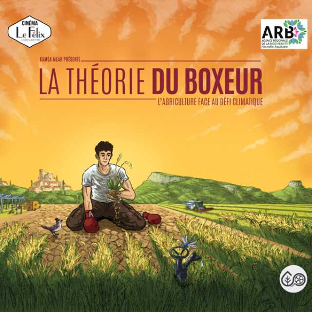 La Théorie du Boxeur - séance gratuite et échanges