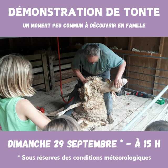 Démonstration de tonte