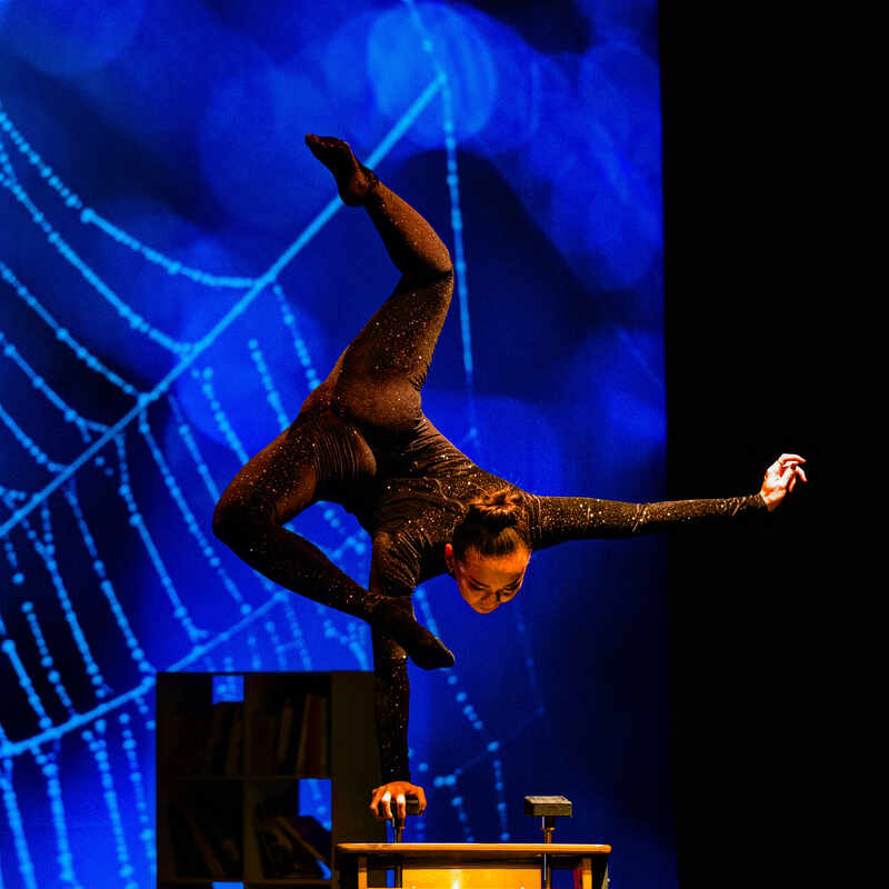 Cie Haspop Cirque du grand Lyon 