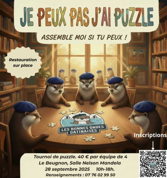 J'peux pas j'ai puzzle, Assemble moi si tu peux !